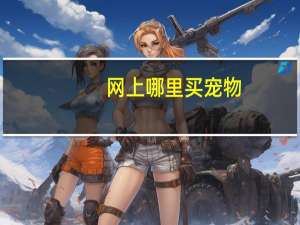 网上哪里买宠物