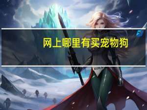 网上哪里有买宠物狗