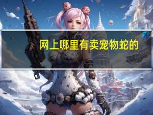 网上哪里有卖宠物蛇的
