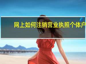 网上如何注销营业执照个体户