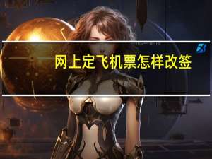 网上定飞机票怎样改签