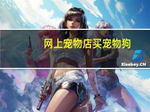 网上宠物店买宠物狗