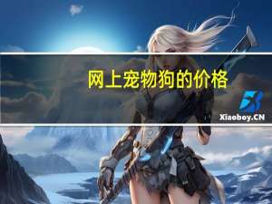 网上宠物狗的价格