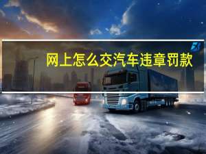 网上怎么交汽车违章罚款
