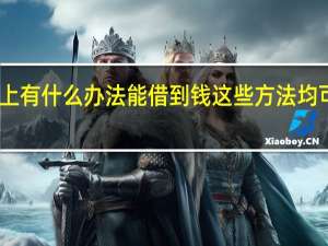 网上有什么办法能借到钱 这些方法均可帮到你