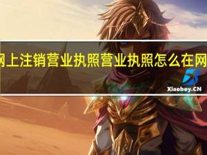 网上注销营业执照 营业执照怎么在网上注销