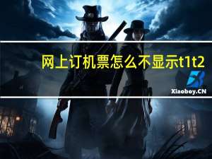 网上订机票怎么不显示t1t2（网上订机票怎么选座位）