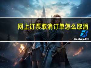 網上訂票取消訂單怎么取消（網上訂票取消訂單）
