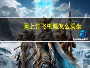 网上订飞机票怎么乘坐