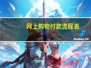 网上购物付款流程表（网上购物付款方式）
