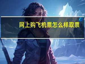 网上购飞机票怎么样取票