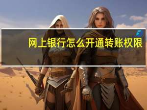 网上银行怎么开通转账权限（网上银行怎么开通）