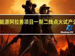 网传远兴能源阿拉善项目一期二线点火试产公司证券部回应：不属实