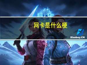 网卡是什么梗（网卡是什么）