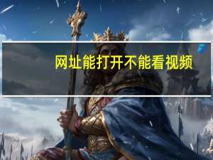 网址能打开不能看视频（yehualu不能看视频 网站能点进去 但是视频打开不了）