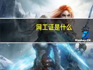 网工证是什么