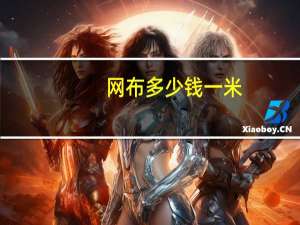网布多少钱一米（网布）
