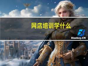 网店培训学什么