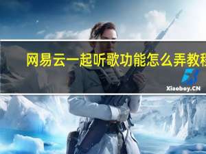 网易云一起听歌功能怎么弄教程（网易云一起听歌功能在哪里）