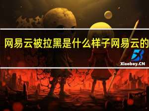 网易云被拉黑是什么样子 网易云的简介