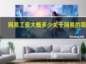 网易工资大概多少 关于网易的简介