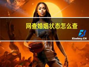 网查婚姻状态怎么查