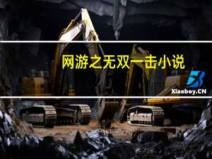 网游之无双一击 小说（网游之无双简介）