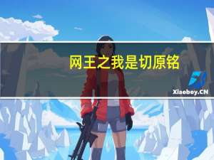 网王之我是切原铭（网王之我是怪物）
