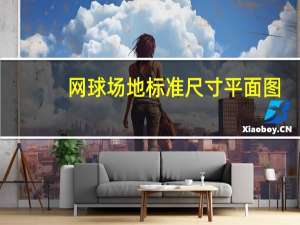 网球场地标准尺寸平面图（网球场地标准尺寸）