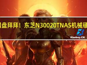 网盘拜拜！东芝N300 20T NAS机械硬盘上手：20T告别容量焦虑