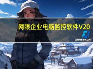 网眼企业电脑监控软件 V20.1.1 官方最新版（网眼企业电脑监控软件 V20.1.1 官方最新版功能简介）