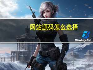 网站源码怎么选择