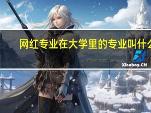 网红专业在大学里的专业叫什么