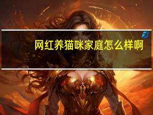 网红养猫咪家庭怎么样啊