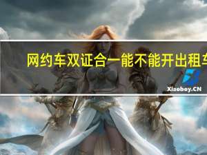 网约车双证合一能不能开出租车（网约车双证合规车型）