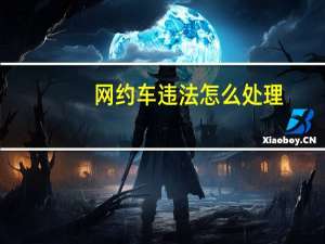 网约车违法怎么处理