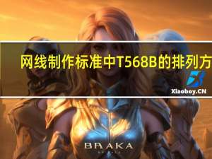 网线制作标准中T568B的排列方式（网线制作标准）