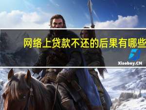 网络上贷款不还的后果有哪些