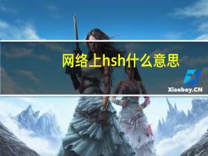 网络上hsh什么意思（hshield）