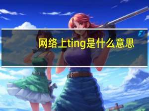 网络上ting是什么意思