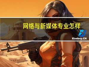 网络与新媒体专业怎样
