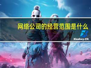 网络公司的经营范围是什么（网络公司的经营范围）