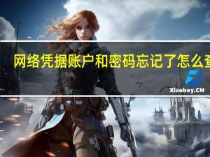 网络凭据账户和密码忘记了怎么查看（网络凭据的用户名和密码是什么）