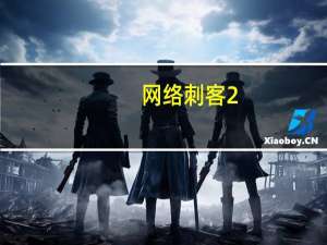 网络刺客2（网络刺客ii）
