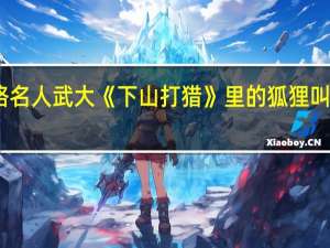 网络名人武大《下山打猎》里的狐狸叫什么名字