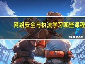 网络安全与执法学习哪些课程