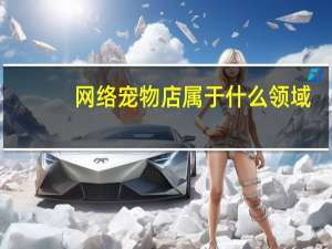 网络宠物店属于什么领域