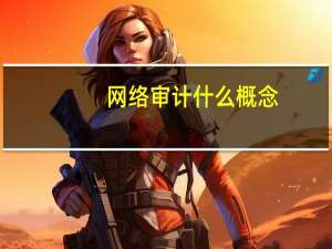 网络审计什么概念