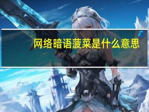网络暗语菠菜是什么意思（菠菜是什么意思）