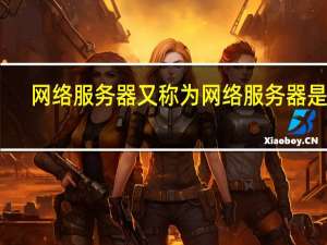 网络服务器又称为 网络服务器是指